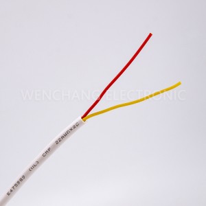 Cheapest Price China T. U. V Approved 2 Core Bare Copper PVC Insulated and Jacketed EV Cable
