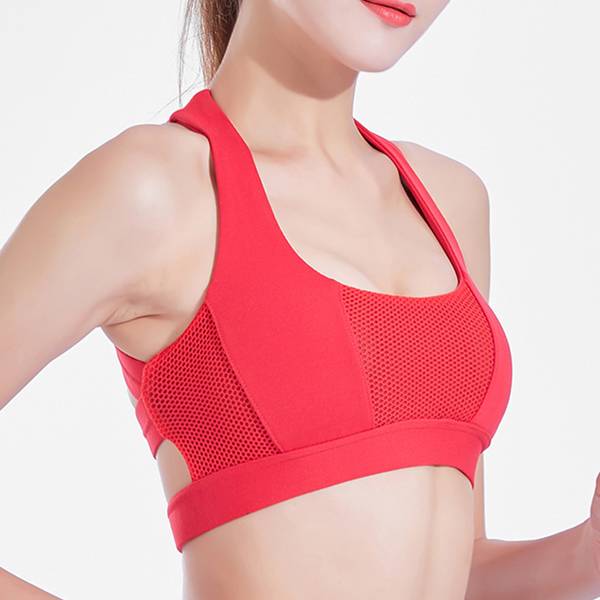 Quality Inspection for Sport Bra And Pants -
 Ladies Sports Bra Cross Back Support Gym – Westfox