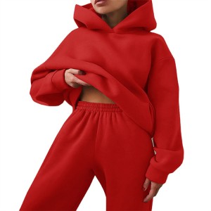 Hoodie Tracksuit For Women Autumn Winter Blank Sweatshirt Sweatpant Oversized Two Pieces Sets Supplier