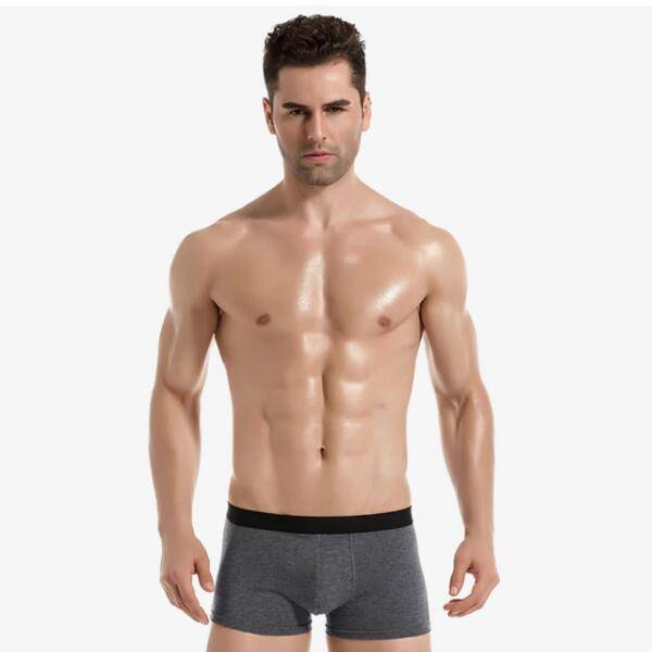 Cheap PriceList for Sexy G String Thongs -
 Men Boxer Briefs Underwear Of Cotton Spandex With 180 GSM – Westfox