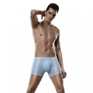 Factory Supply Sexy Men Underwear Gay -
 Mens Boxer Shorts Underwear Ultra Thin Meryl Fabric Seamless  – Westfox
