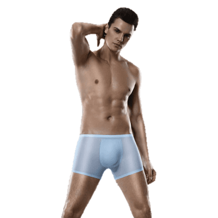Free sample for Underwear Sex - Mens Boxer Shorts Underwear Ultra Thin Meryl Fabric Seamless  – Westfox