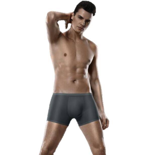 OEM Mens Underwear Ice Silk Boxers Shorts Briefs for Man - China