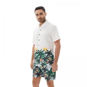 Beach Sets For Men Summer Tracksuit Printed Short Sleeve Hawaiian Oversized Wholesale