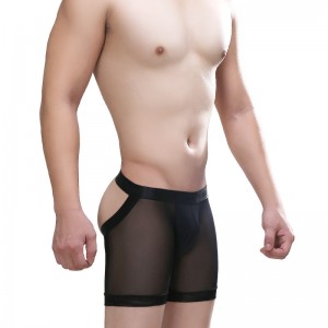 Long Leg Boxer Shorts Underwear See Through Mesh Gay Ultra Thin Transparent Quick Dry Custom