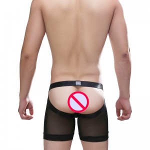 Long Leg Boxer Shorts Underwear See Through Mesh Gay Ultra Thin Transparent Quick Dry Custom