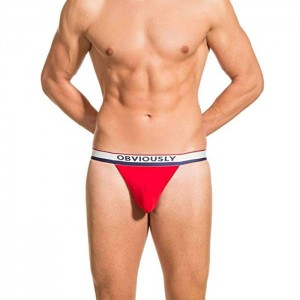 2019 China New Design Custom Sublimated Printing Board Shorts -
 Gay Men Underwear Male Lingerie Jockstrap G String Thongs Mens Underpants – Westfox