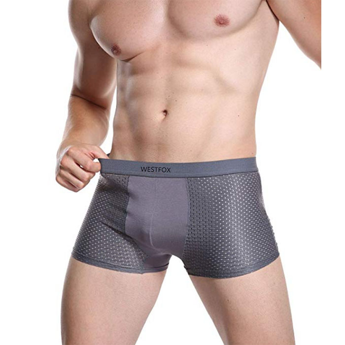 China OEM Wholesale Underwear - Mens Sexy Underwear Mesh Nylon Spandex Wholesale – Westfox