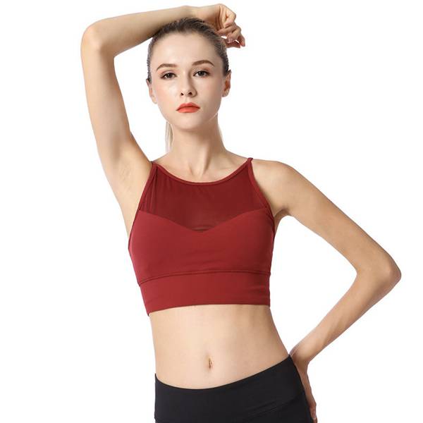 factory customized Cotton Yoga Harem Pants -
 Mesh Front Sports Bra Sexy Spaghetti Strap High Impact Workout – Westfox