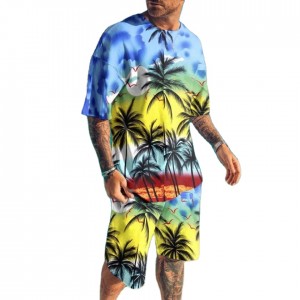 T Shirt Shorts Tracksuit Sports Beach Short Sleeve Outfit Loose Printing Summer Custom