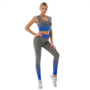 Women Yoga Sets Workout Gym Activewear Plus Size Fitness High Waist Ombre Custom