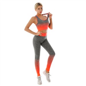 Women Yoga Sets Workout Gym Activewear Plus Size Fitness High Waist Ombre Custom