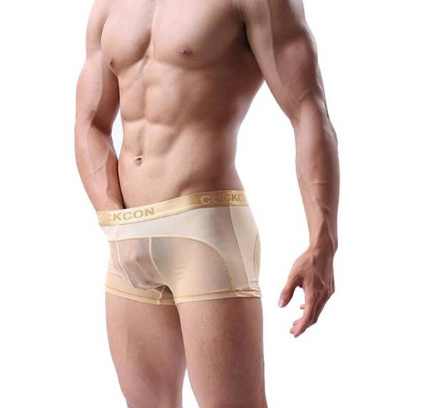 OEM Manufacturer Womens Thong -
  Men Sexy Underwear Boxer Briefs Factory Custom – Westfox