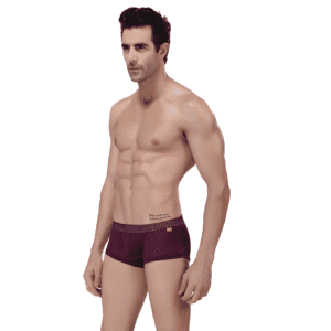 Sexy Boxer Shorts Underwear For Men Factory