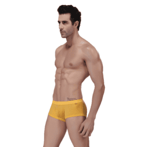 Sexy Boxer Shorts Underwear For Men Factory