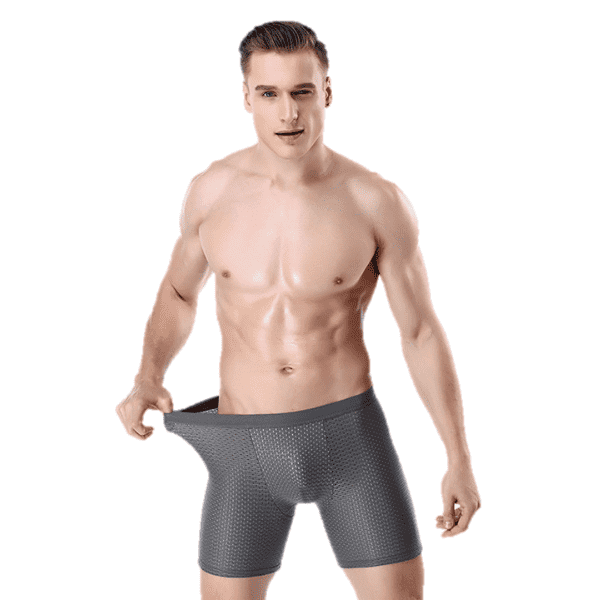 Manufactur standard Briefs Underwear -
 Sexy Underwear Factory – Westfox