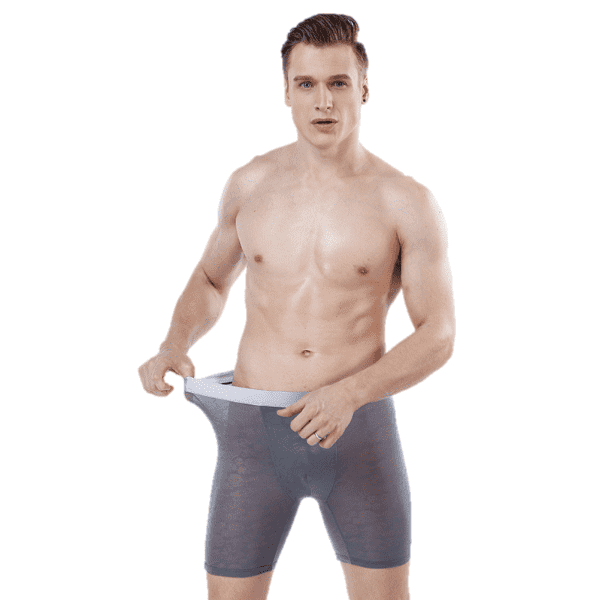 Factory source Transparent Underwear For Men -
 Men Boxer Shorts Manufacturer – Westfox