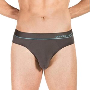 Factory Promotional Underware Panties -
 Plus Size Boxer Briefs Comfort Pouch Manufacturer Modal Microfiber – Westfox