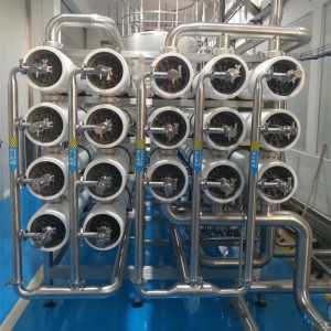 Good Quality Water Treatment System - Idustrial RO Pure Water Treatment Equipment – SINOPAK