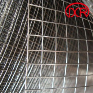 China Cheap price Galvanized Welded Wire Mesh
