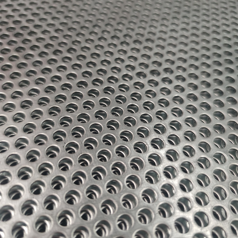 Best quality Mesh Screens - Mild Steel and Galvanized and Stainless Steel Perforated Metal – DXR