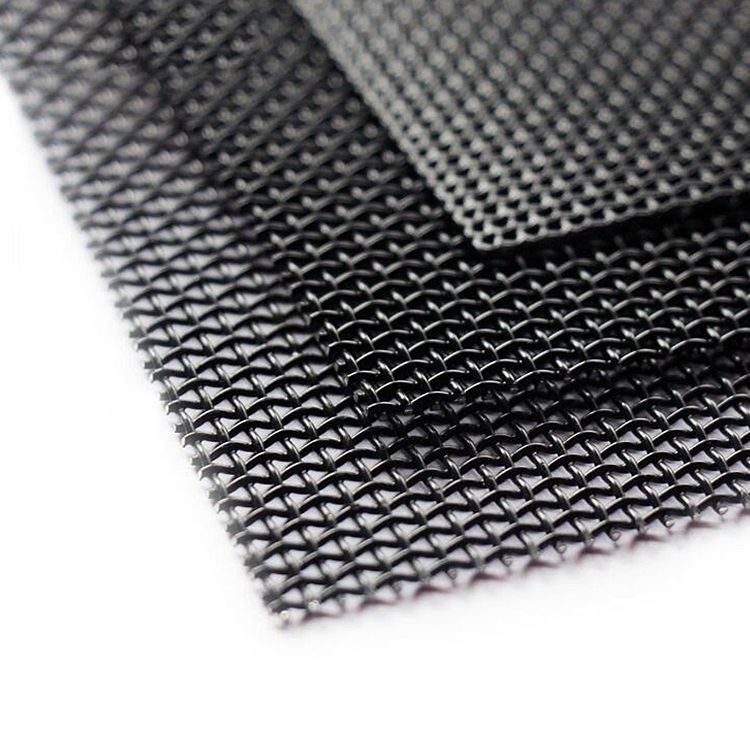 New Fashion Design for Stainless Fine Mesh - anti thief stainless steel PVC coated wire mesh for window &door – DXR