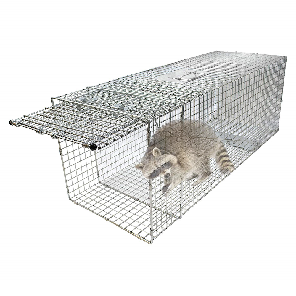 32'' Galvanized Collapsible Wild Cat Raccoon Cage Trap