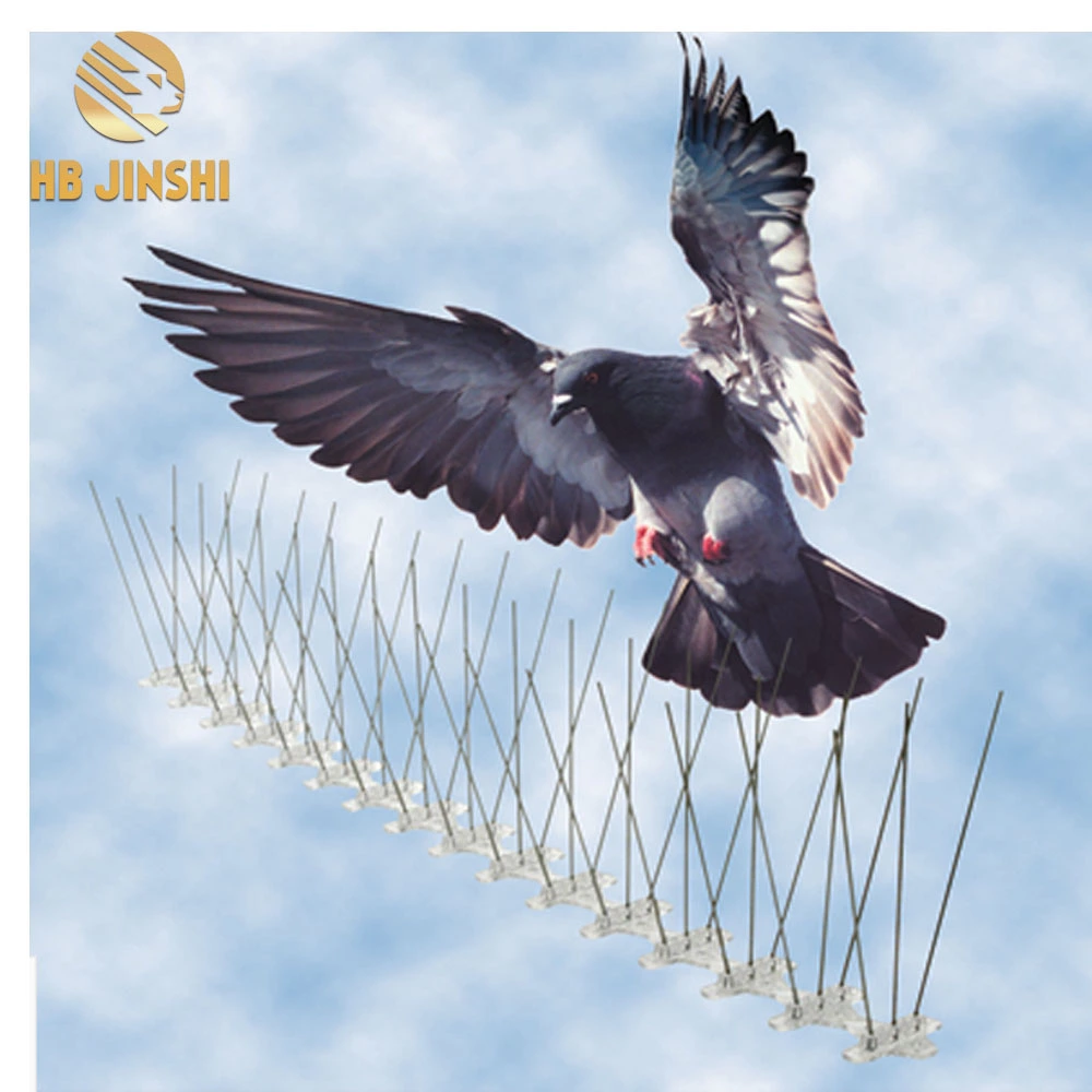 Stainless Steel Anti Pigeon Devices Bird Trap Cage Bird Spikes