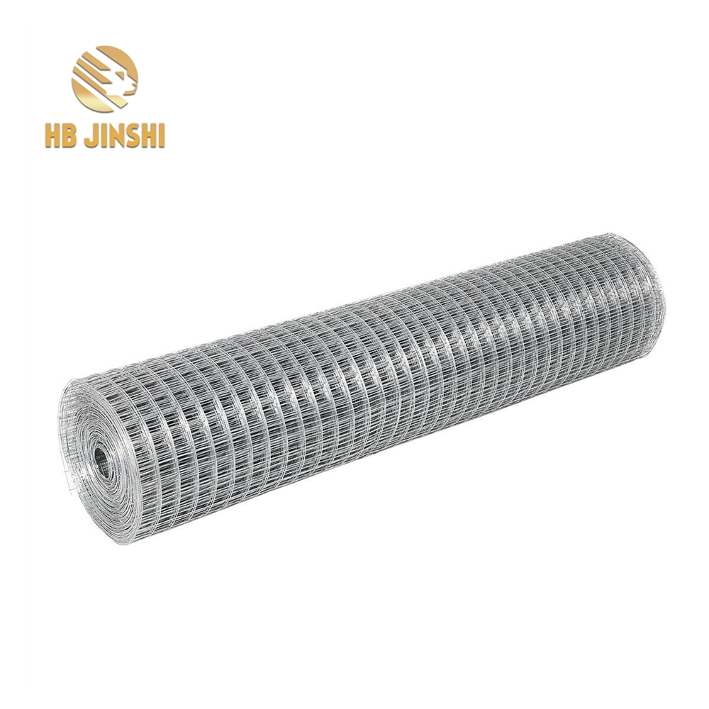 Electro galvanized welded iron wire mesh Featured Image
