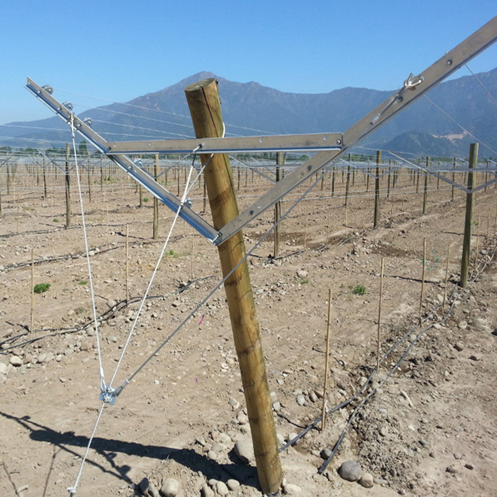 Hot dipped galvanized Three-piece vineyard post metal trellis pole