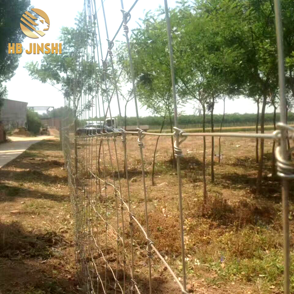 2.1m  galvanized fixed  knot deer fence for sales