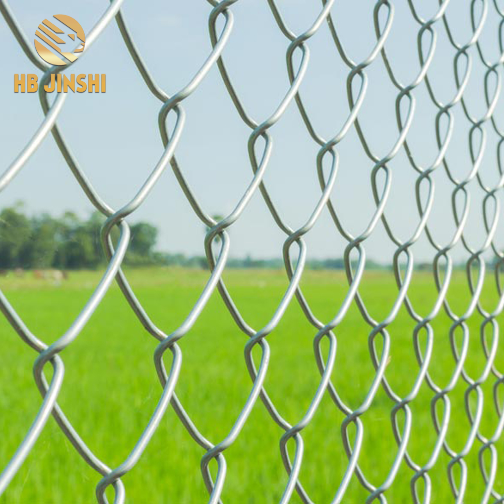 China Gold Supplier for Metal Grid Wall Panel - Green PVC coated 60*60mm opening 50m long chain link fencing – JINSHI