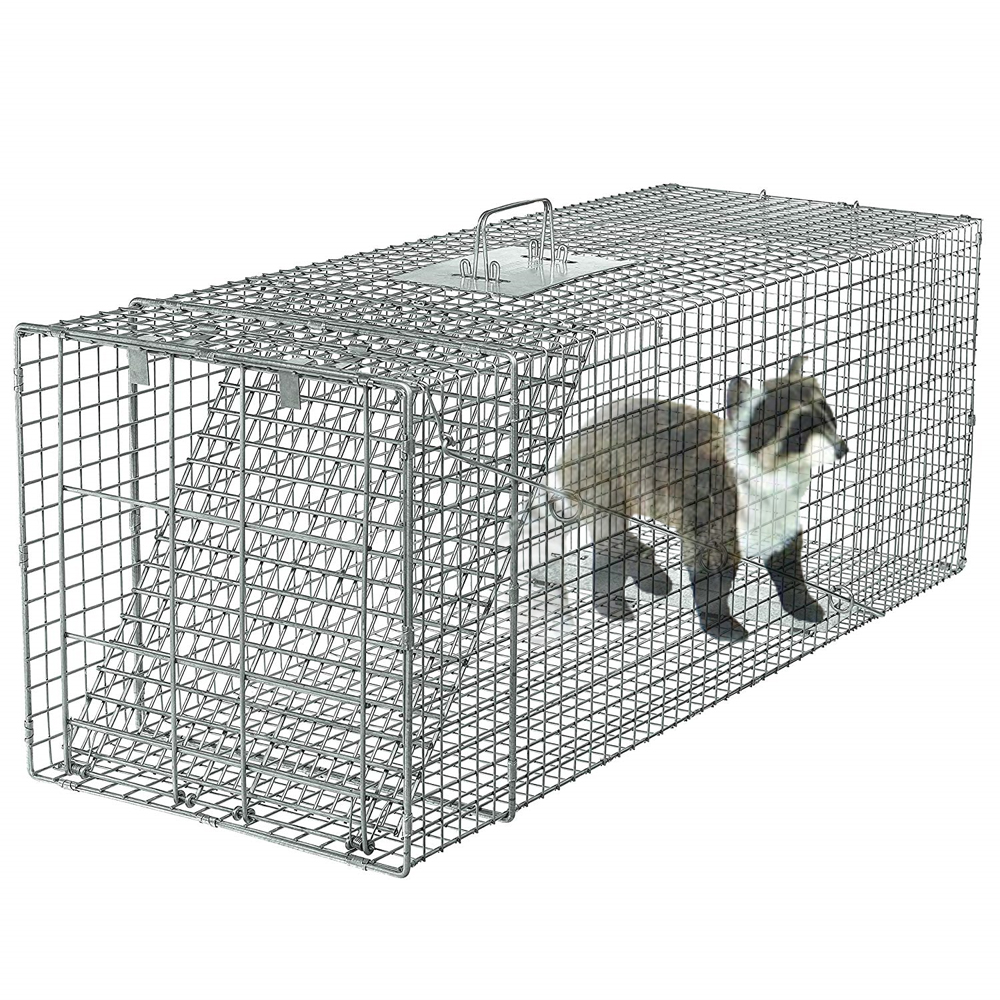 New Arrival China Steel Dog Cage - Humane Collapsible Rodent Control Raccoon Wire Cage Traps – JINSHI