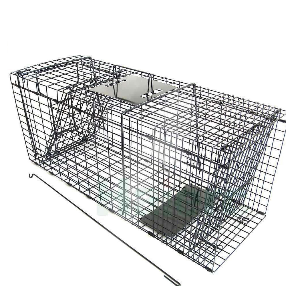 2020 Good Quality Outside Dog Kennels - Live Animal Cage Trap  Humane Opposum Trap Cat Raccoon Trap – JINSHI
