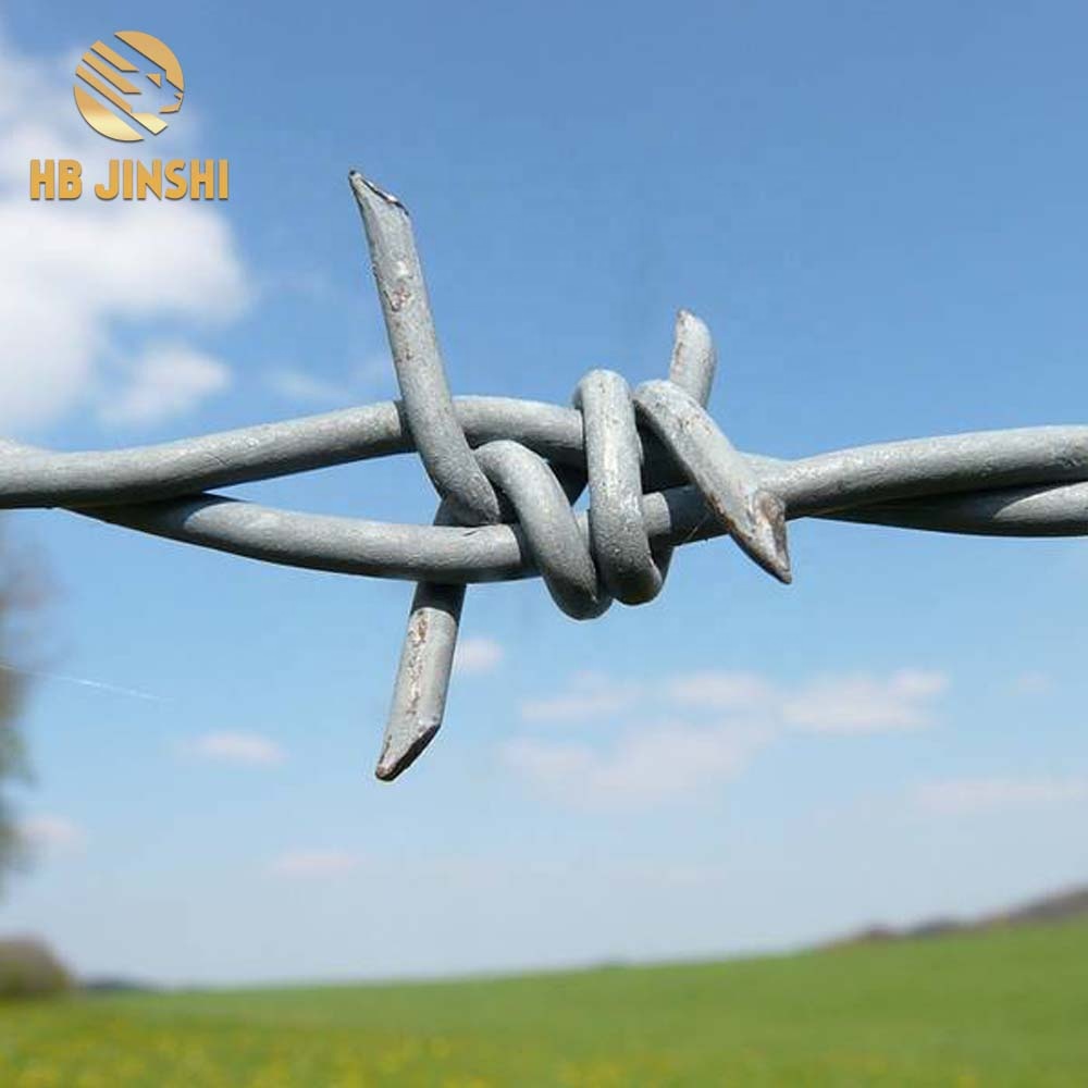 High Quality Galvanized Barbed Wire Fence