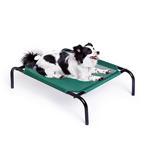 Elevated Pet Bed Metal frame dog bed