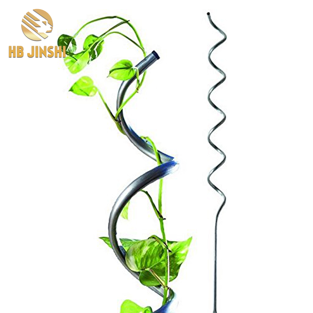 1.8m Galvanised Metal Growth Spiral Tomato support vegetables Climbing Plant Support