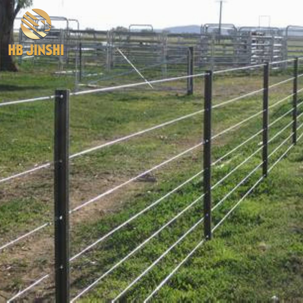 Super Lowest Price Steel T Posts - 3.5KGS/M Y post  rural fence post – JINSHI