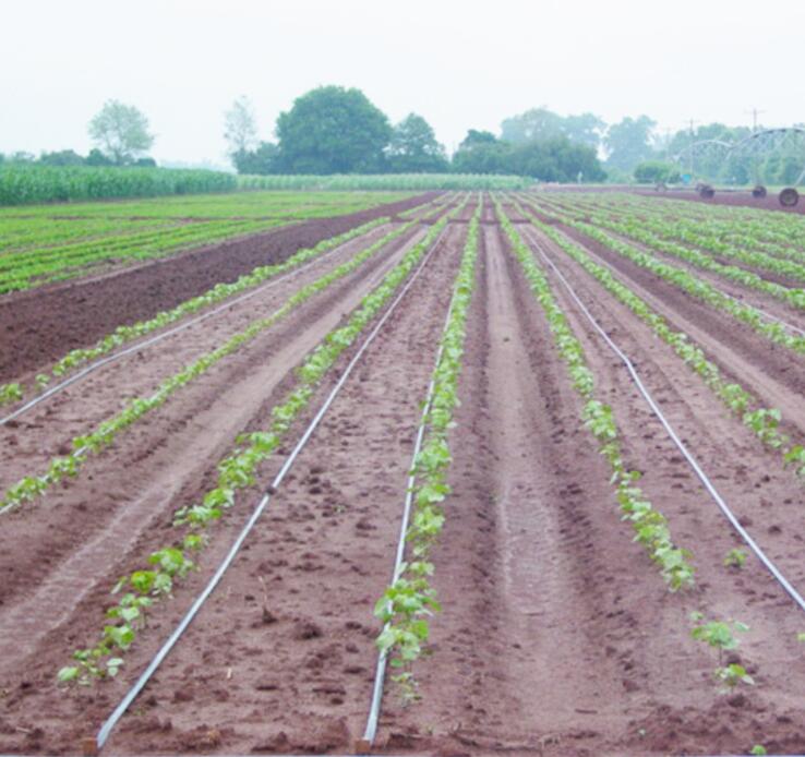 China Supplier Blank Signs With Stakes - Agricultural Drip Irrigation Tape – JINSHI