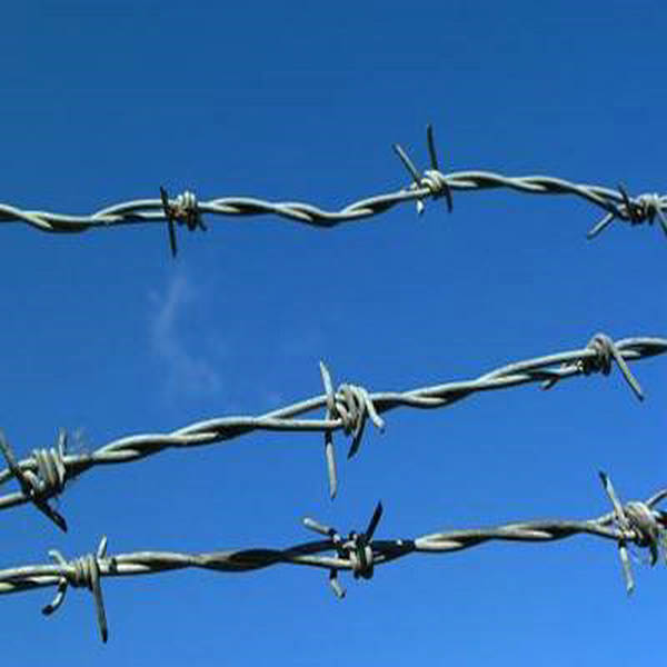 UAE Direct Supply Galv. Farm Barbed Wire 500 Meters