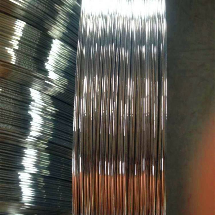 factory low price Christmas Door Wreath - Hot sales 2.4*3.0 mm Brazil market Galvanized oval steel wire – JINSHI