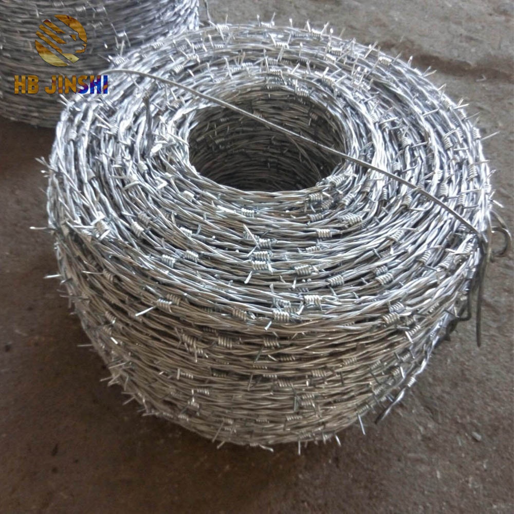 USA Type Barb Wire Fence Concertina Wire