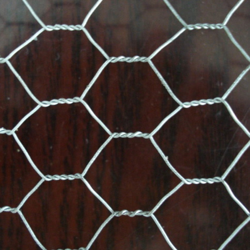 high quality good price hexagonal wire mesh / chicken wire / chicken cage