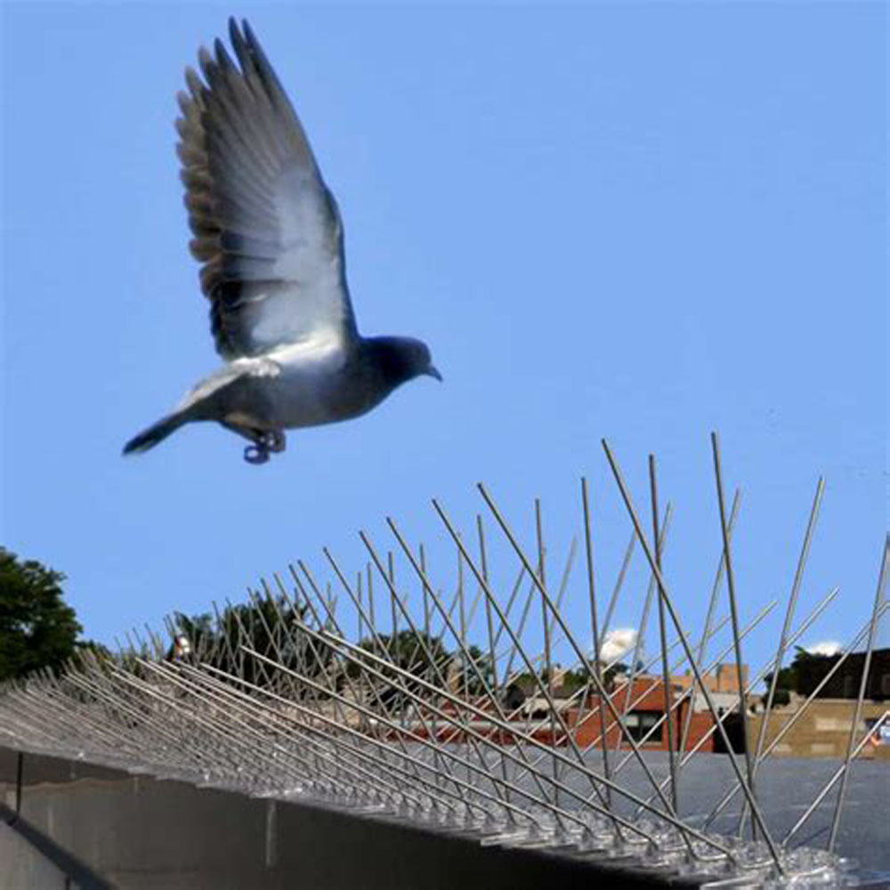 50cm 60spikes 304 Stainless Steel Anti Bird Control Plastic Pigeon Spikes