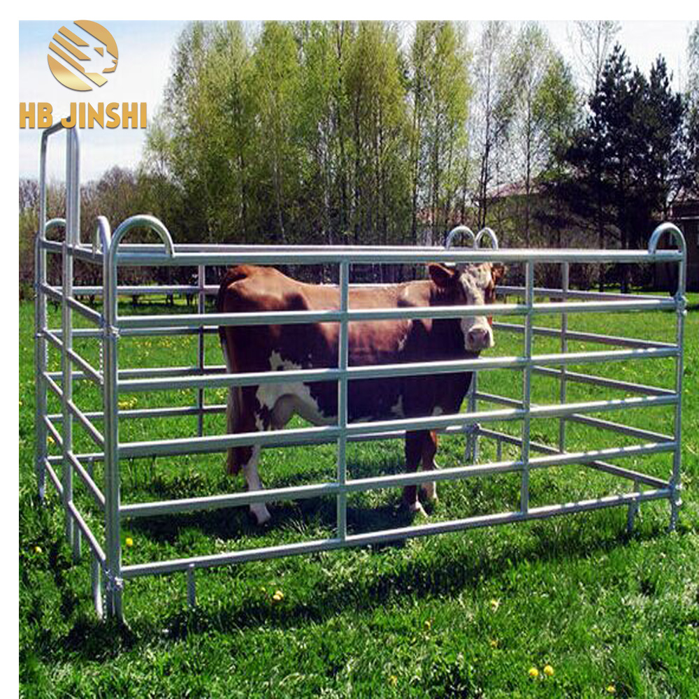 1.8×2.1M Galvanized oval style Ranch Fence
