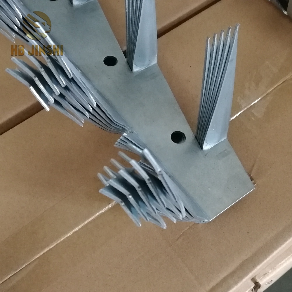 Galvanized Razor Wall Spikes 1.25m for Security Featured Image