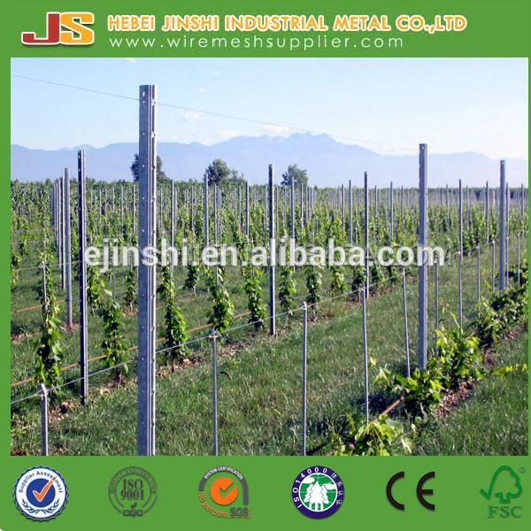 Low Price Direct Factory Hot Dipped Galvanized Metal Apple Tree Support