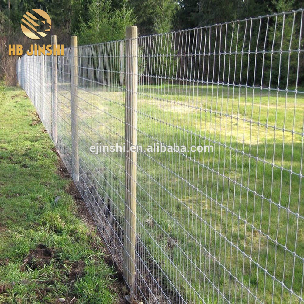 high strength galvanized wire Hinge Joint Fixed Knot Field Fence