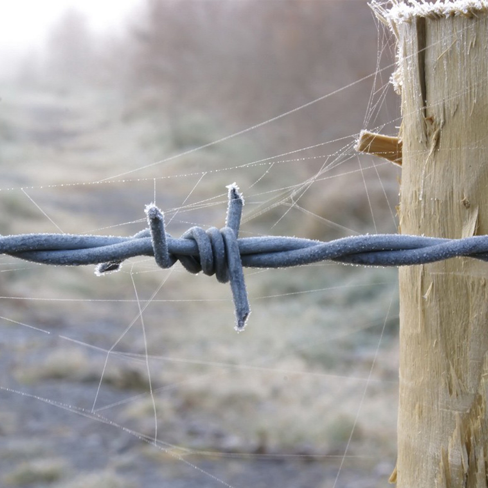 Low carbon barbed wire