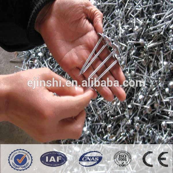 Galvanized twist shank roofing nail factory